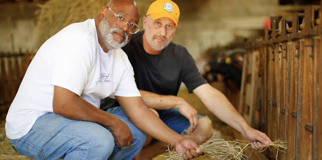 5:00 PM: The Great B&B Challenge | Channel 4 | 12/10 2025