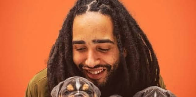 Puppy Boom: Counting the Cost (2021)