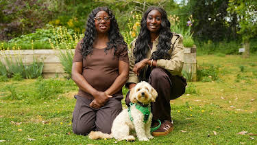 8:00 PM: The Dog House | 4 Seven | 3/29 2026