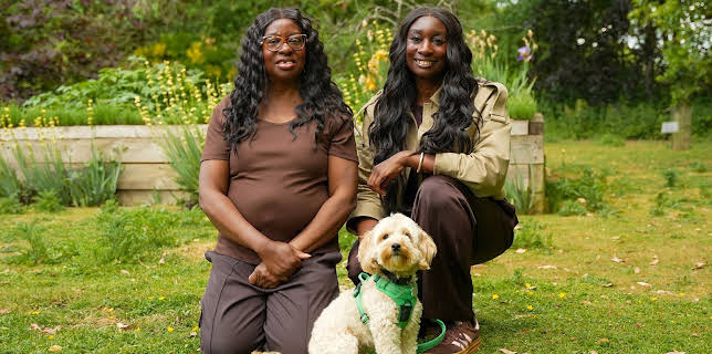 8:00 PM: New: The Dog House | Channel 4 | 3/24 2026