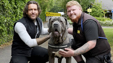 2:00 PM: Pete Wicks: For Dogs' Sake (S2 E1) (S2) | W | 4/3 2026