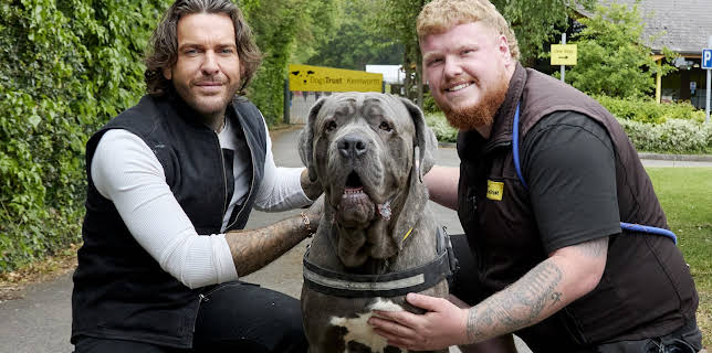 8:00 PM: Pete Wicks: For Dogs' Sake (S2 E1) (S2) | W | 11/25 2025