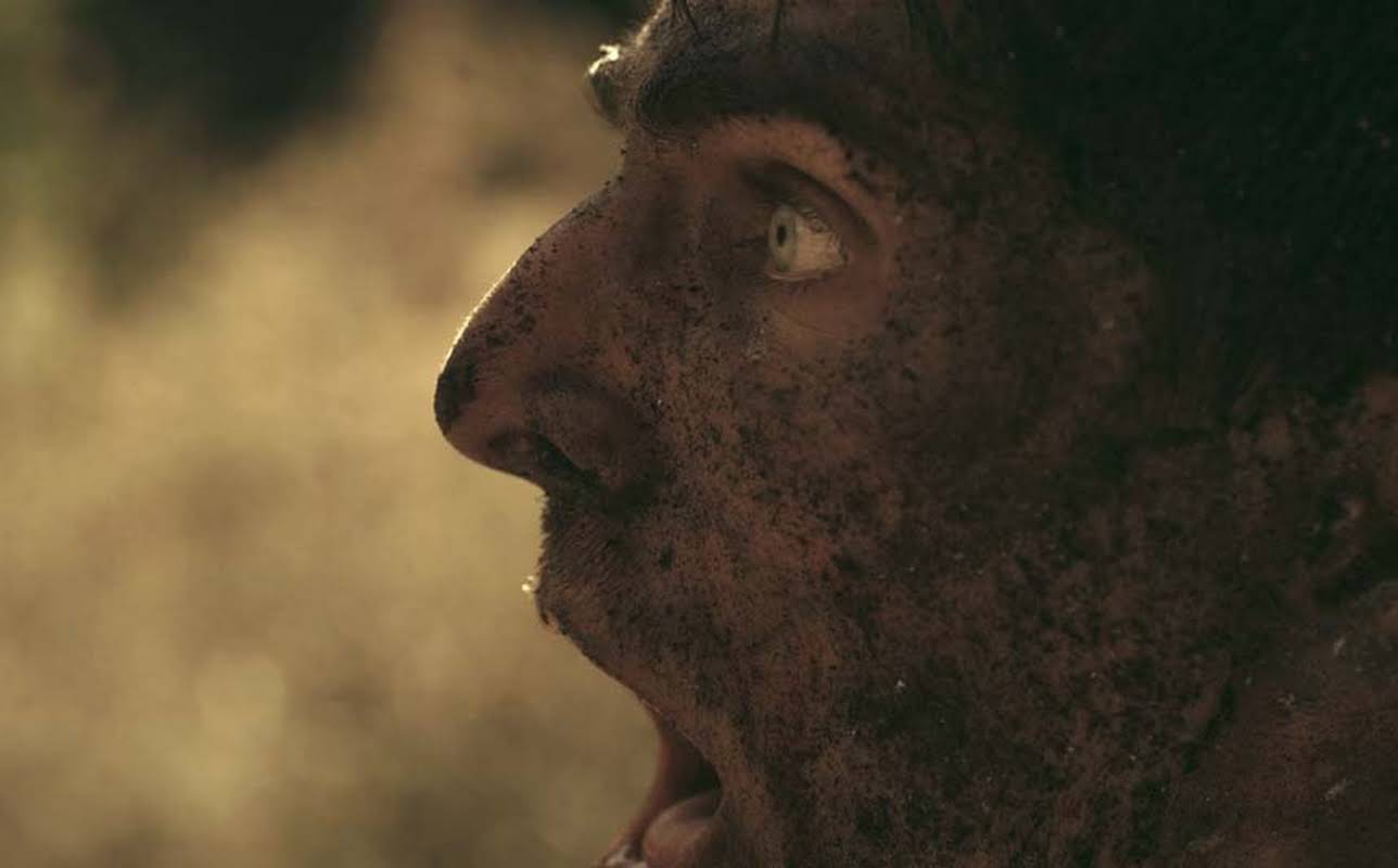 Andrew Harwood Mills