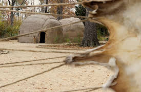 The History of the United States, 2nd Edition: Gentlemen in the Wilderness