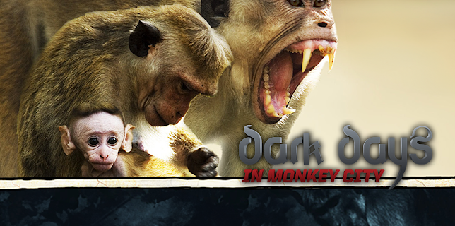 Dark Days in Monkey City Season 1