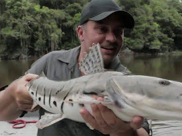 12:15: Chasing Monsters - Monsterfischen auf der Spur | Kabel Eins Doku | 6/13 2026