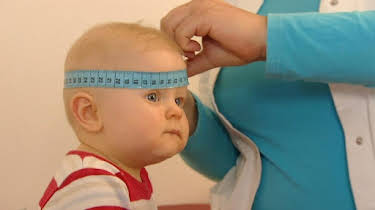 08:00: Alles wächst, aber wie? | ARD Alpha | 4/27 2026