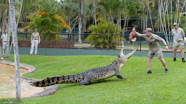 06:00: Crikey! It's the Irwins (S4 E5) (S4) | Animal Planet | 4/6 2026