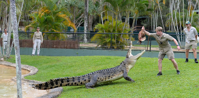 13:05: Crikey! It's the Irwins (S4 E5) (S4) | Animal Planet | 12/13 2025