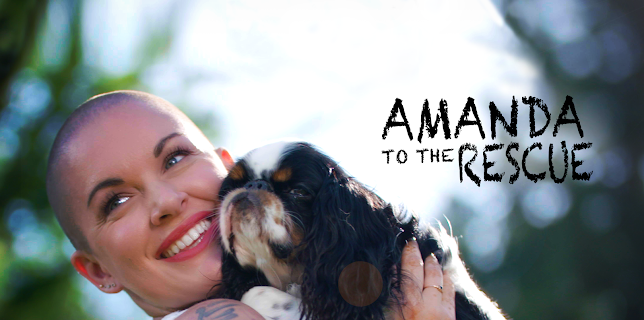 Amanda To The Rescue