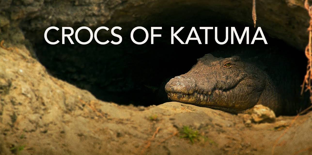 Crocs of Katuma (2010)