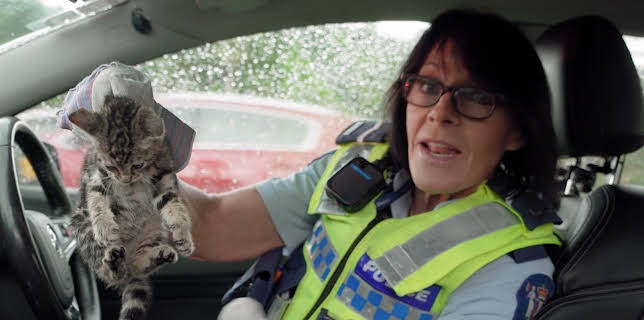 12:25: Police Force - Einsatz in Neuseeland | ProSieben Maxx | 1/20 2026