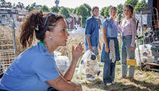 Mord im Mittsommer (2/3)