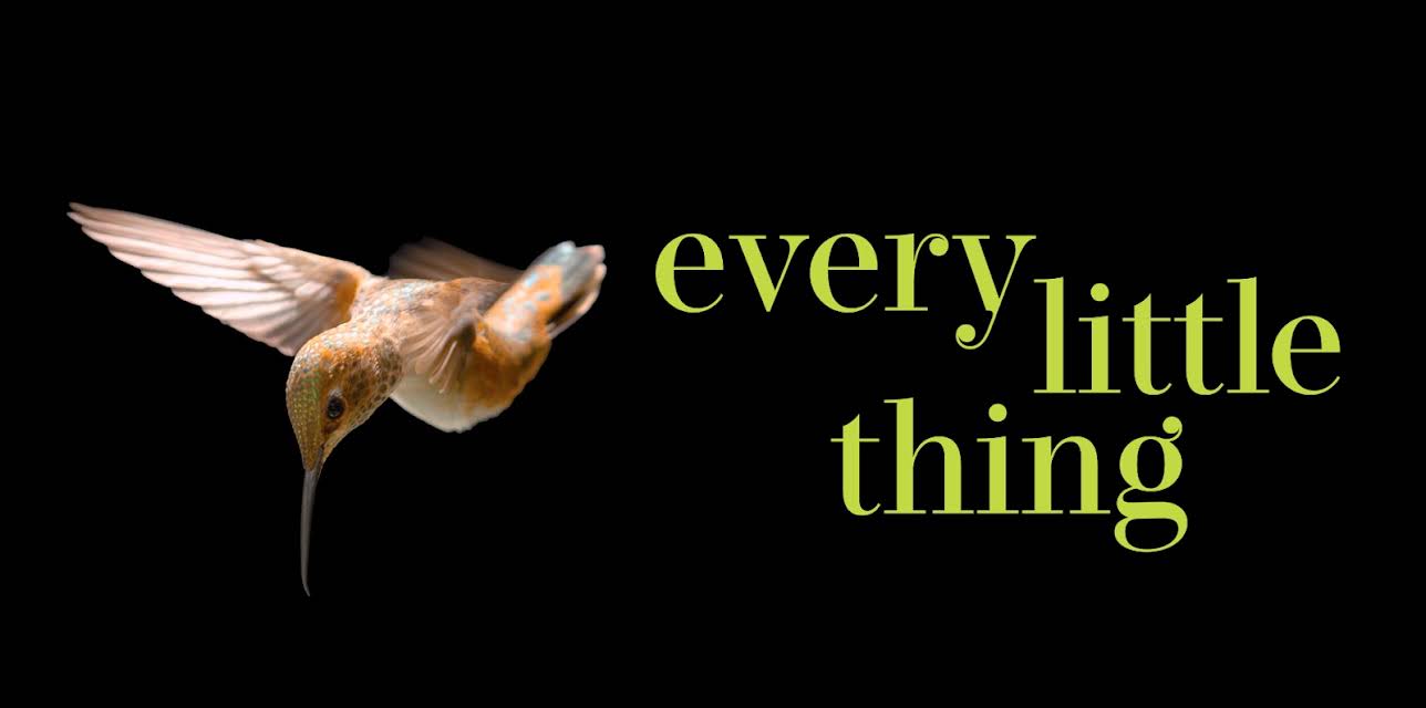 Every Little Thing (2025)