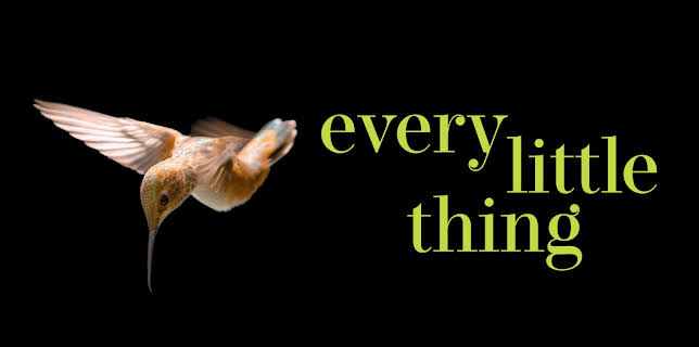 Every Little Thing (2025)