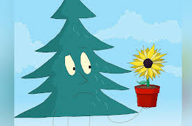 Circle Square: The Sunflower Competition | Active Bear