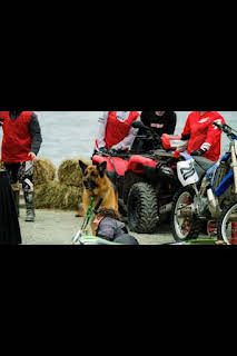 10:06: Hudson y Rex (T6): Ep.2 El bueno, el malo y el Rex | Calle 13 | 4/1 2026