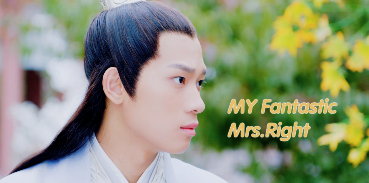 My Fantastic Mrs.Right