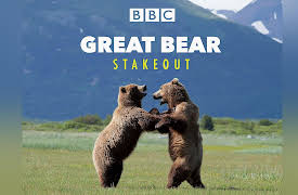 Great Bear Stakeout: Episode 1