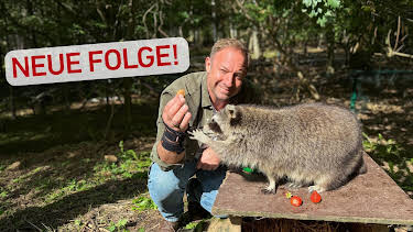 20:15: Tobis Urlaubstrip: Naturpark Knüll | HR Fernsehen | 10/13 2026