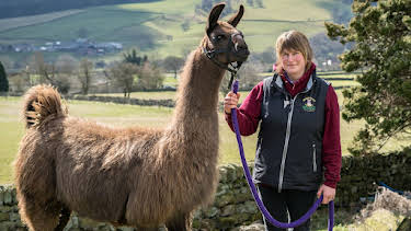 10:00 AM: The Yorkshire Vet (S6 E4) (S6) | 5 Select | 1/8 2026