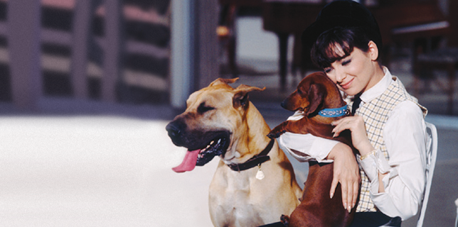 The Ugly Dachshund (1966)