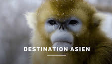 Destination Asien