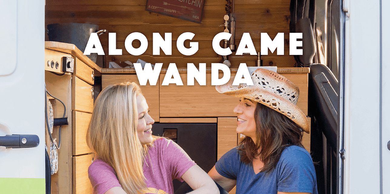 Along Came Wanda (2021)