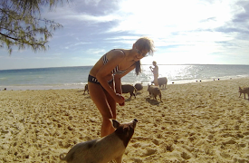 Bahamas Life: Treasure Cay Stole Their Heart