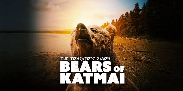 The Tracker's Diary: Bears of Katmai