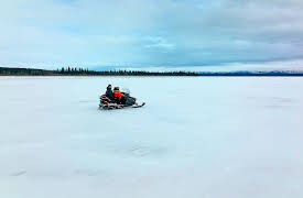 A Brief History of the Future, Season 1: Chaos & Complexity