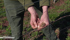 Die Nordreportage: Hofgeschichten