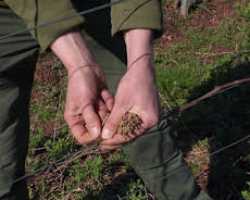 Die Nordreportage: Hofgeschichten