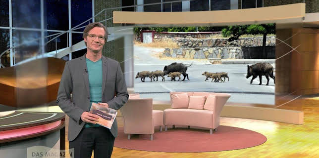 06:00: Wir im Saarland - Das Magazin | SR Fernsehen | 1/19 2026