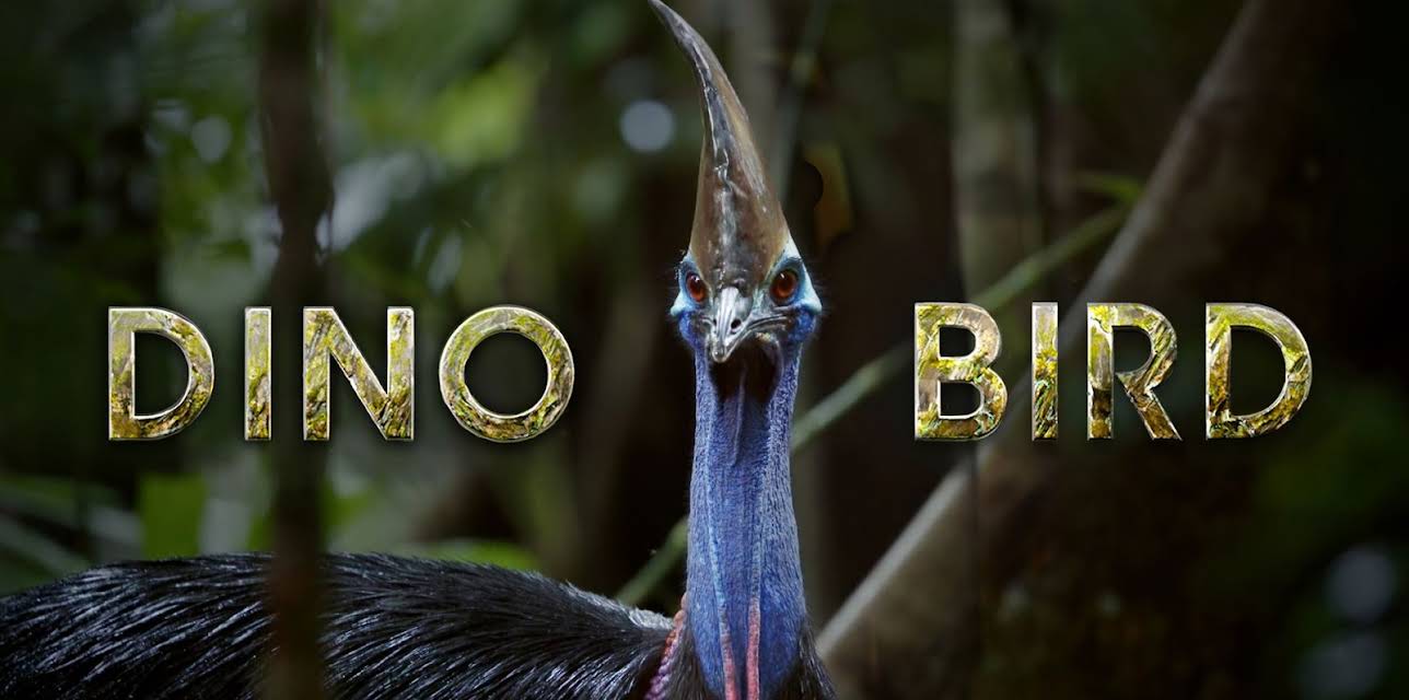 Dino Bird (2017)