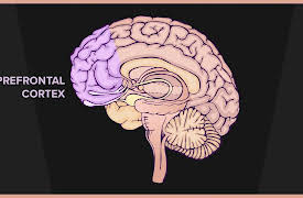 Overcome Your Overthinking: Are You an Overthinker?