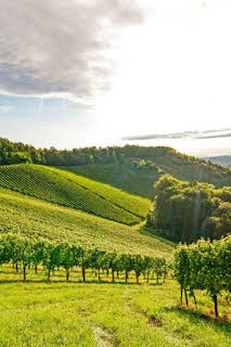 19:10: Borgoña, el corazon de Francia | La Otra | 3/27 2026