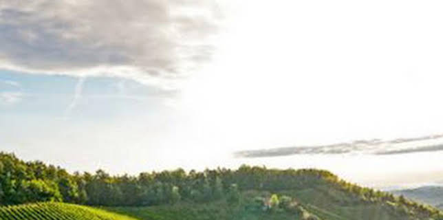 19:15: Borgoña, el corazon de Francia | La Otra | 2/5 2026