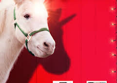 A Unicorn for Christmas