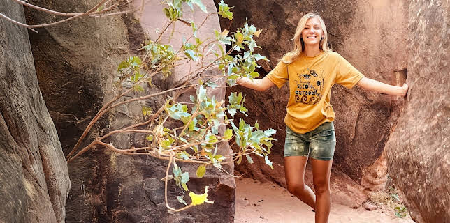 American Murder: Gabby Petito