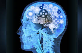 Brain Myths Exploded: Lessons from Neuroscience: Is Your Brain Perfectly Designed?