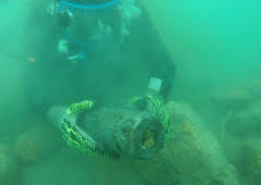 Die legendären Schätze der Tempelritter