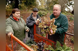 The Autistic Gardener: South London Sound Garden