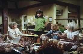 Knots Landing: Civil Wives