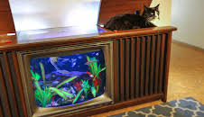 Tanked (S4 E14)