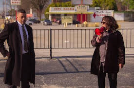 Buried by the Bernards: ¡Luces, cámaras, distracción!