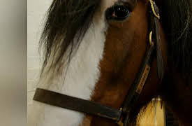 The King's Guard: Episode 3