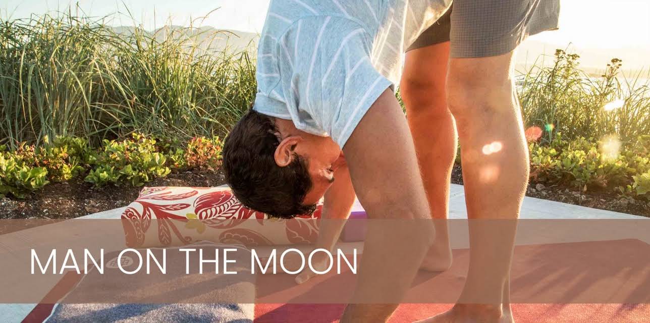 Man on the Moon (2014)