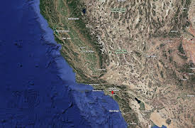 First Stop News: Super Cool Animal News