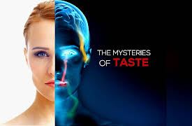 Unveiling our 5 Senses: The Mysteries of Taste